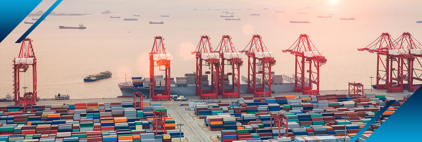 Welcome To Laxmi Cargo Movers